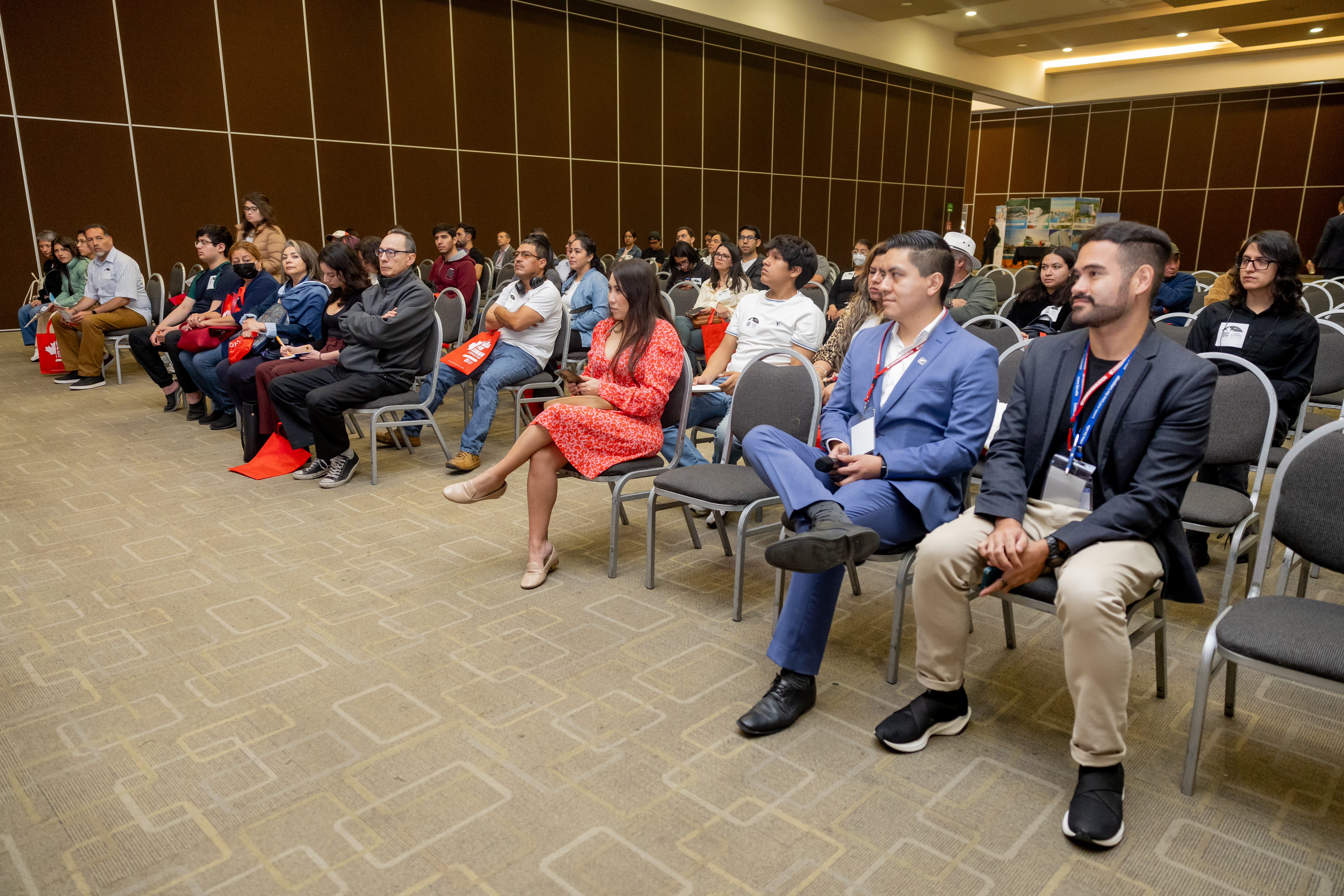 Audiencia en conferencia